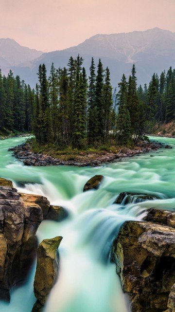 Image green pine trees beside river during daytime
