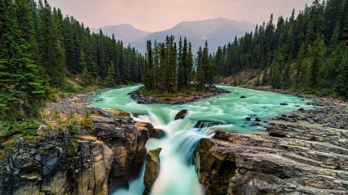 Image green pine trees beside river during daytime