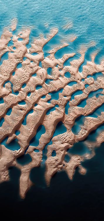 water, sea, marine biology, azure, textile