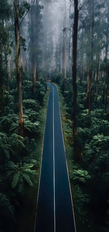 Naturaleza, Hermosa, Retrato, Sucursal, Carretera. Wallpaper in 1420x3000 Resolution