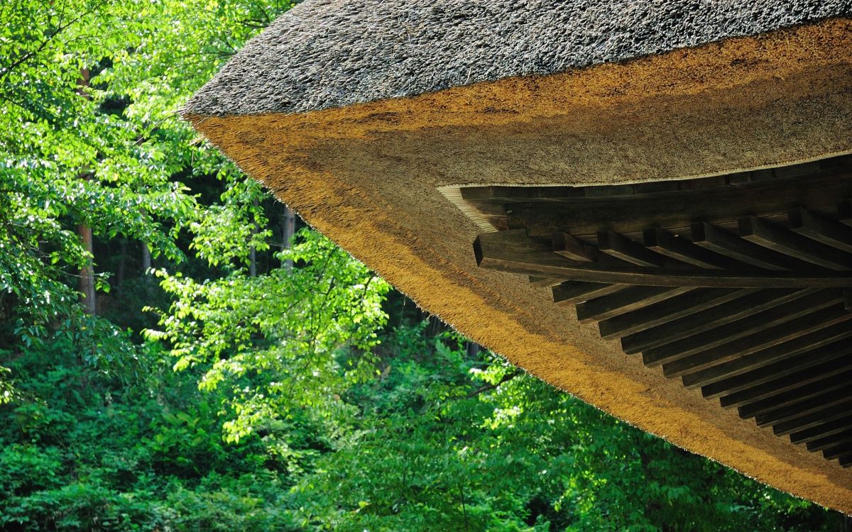 brown wooden roof near green trees during daytime