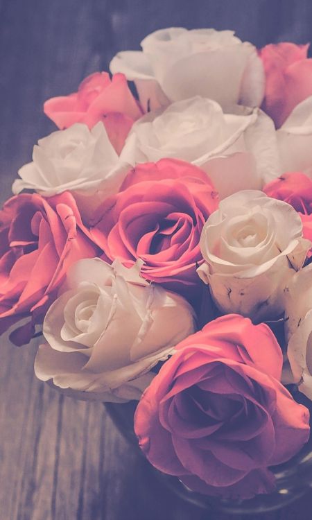 Las Rosas de Jardín, Diseño Floral, Rosa, Ramo de Flores, Blanco. Wallpaper in 2304x3840 Resolution