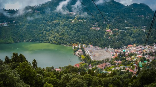 Image aerial view of green trees and river