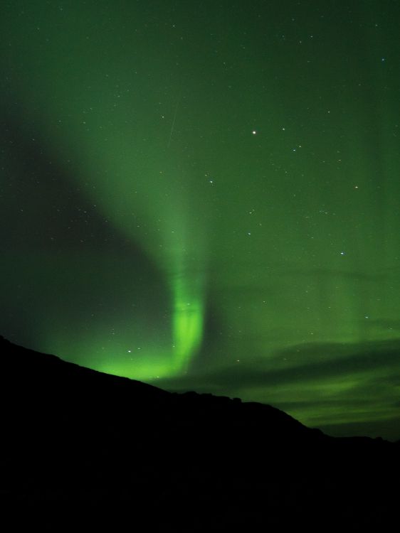 green sky with stars during night time