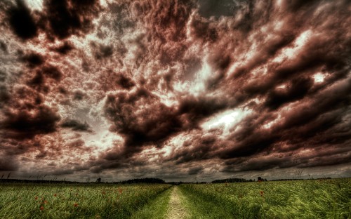 Image green grass field under gray clouds