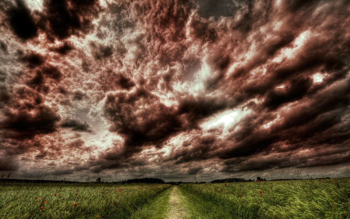 green grass field under gray clouds