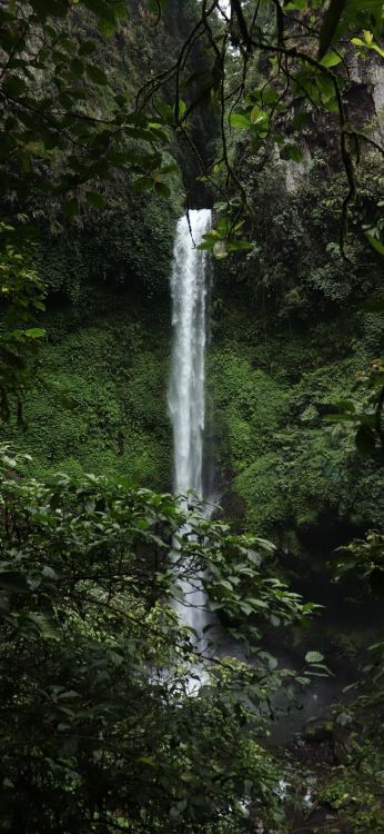 Cascade, Rainforest, Eau, L'écorégion, Paysage Naturel. Wallpaper in 1080x2340 Resolution