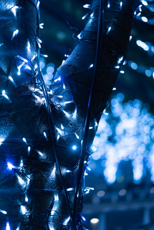 Image blue and white string lights