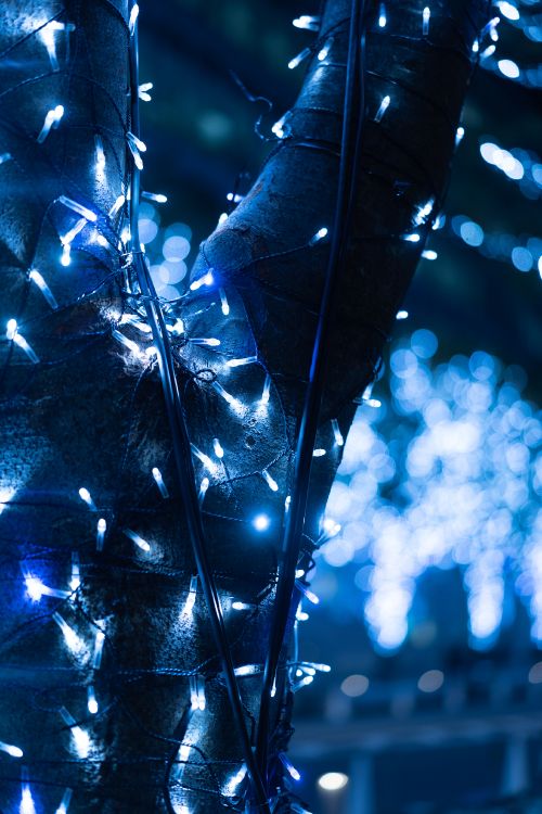 blue and white string lights