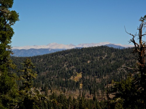 Image green trees on mountain under blue sky during daytime