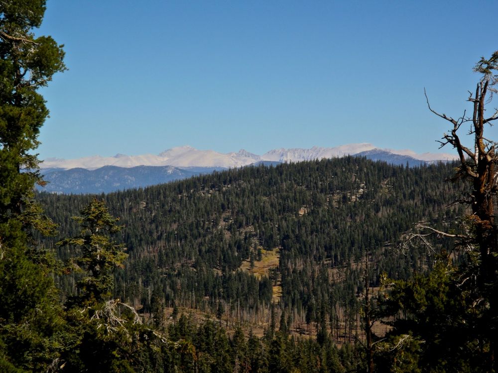 green trees on mountain under blue sky during daytime