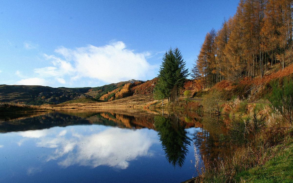 Tagsüber Grüne Und Braune Bäume Neben Dem See Unter Blauem Himmel. Wallpaper in 2560x1600 Resolution