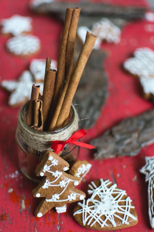 Christmas Day, cinnamon, christmas, twig, food