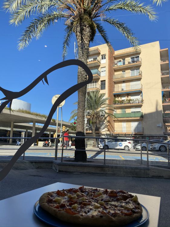 棕榈树, 科学, 生物学, 披萨, 烹饪 壁纸 1536x2048 允许