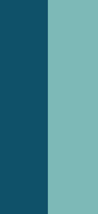 IPhone, IOS 14, IOS 14 DUAL, Apple, IOS. Wallpaper in 1125x2436 Resolution