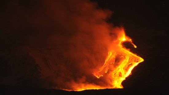 Image burning wood during night time