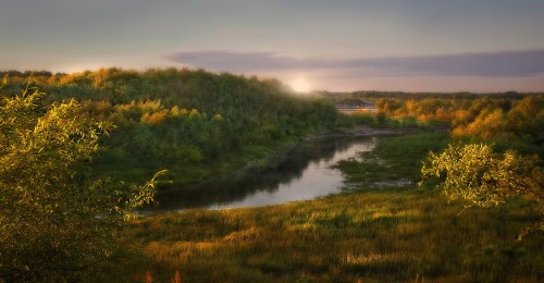 Image green trees beside river during daytime