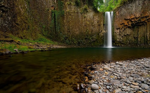 Image water falls in the middle of the forest