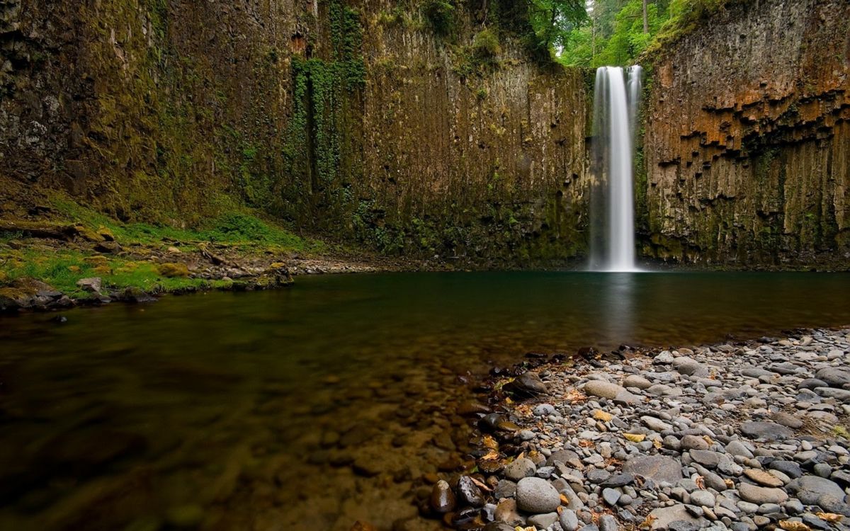 water falls in the middle of the forest