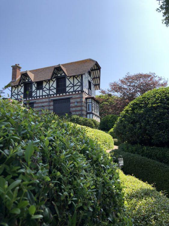 Végétation, Propriété, Arbuste, Haie, Garden. Wallpaper in 1536x2048 Resolution