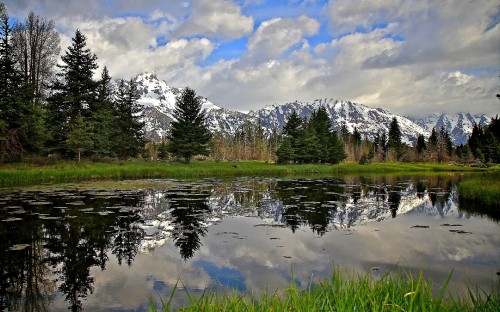 Image green grass field near lake and trees under white clouds and blue sky during daytime