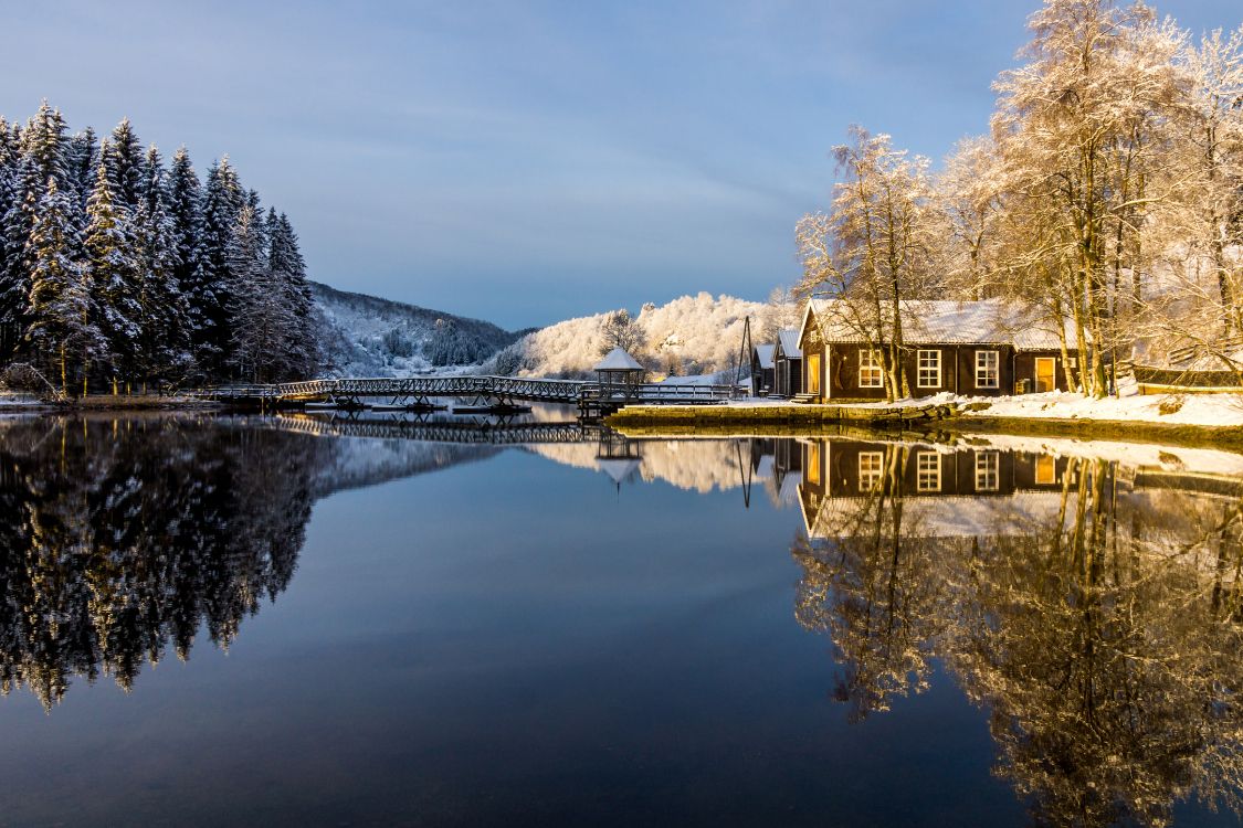 brown wooden house on lake near trees and mountains during daytime