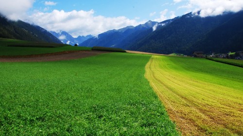 Image green grass field near green mountains during daytime