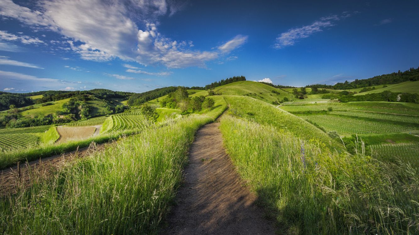 Paysage de Prairie Nature, Prairie, Nature, Zone Rurale, Green. Wallpaper in 5184x2916 Resolution