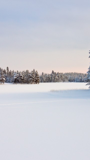 Image coldest place in the india, snow, winter, lauphoehoe point, dras