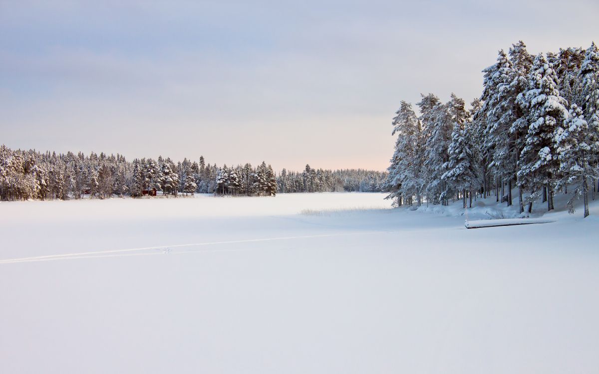 coldest place in the india, snow, winter, lauphoehoe point, dras