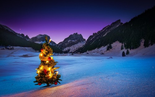 Image green and red christmas tree with yellow and red baubles on gray sand near blue lake