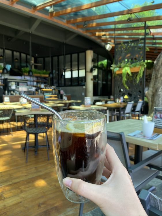 Vin, Verre, Verrerie, Barware, Table. Wallpaper in 1536x2048 Resolution