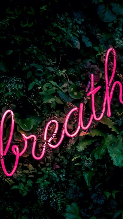 Lebensbalken, Gr, Blatt, Vegetation, Terrestrische Pflanzen. Wallpaper in 1080x1920 Resolution