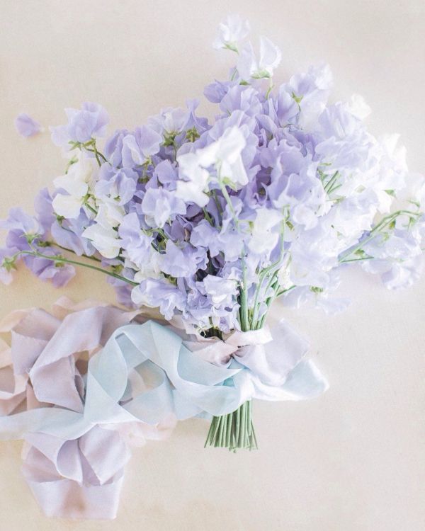 purple and white flower bouquet