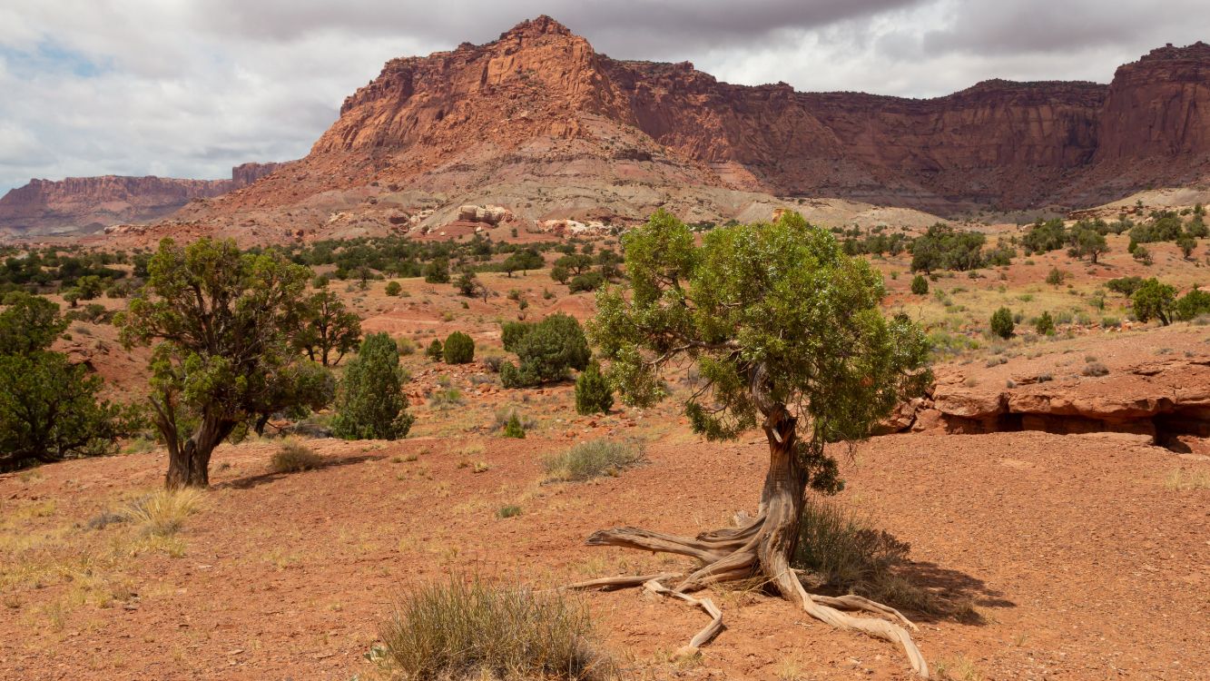 Illustration, Paysage Naturel, Soubassement, Végétation, Formation. Wallpaper in 5120x2880 Resolution