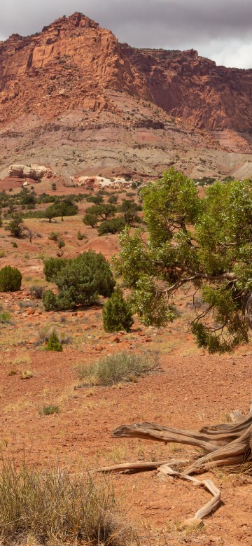 Image wilderness, illustration, cloud, plant, mountain