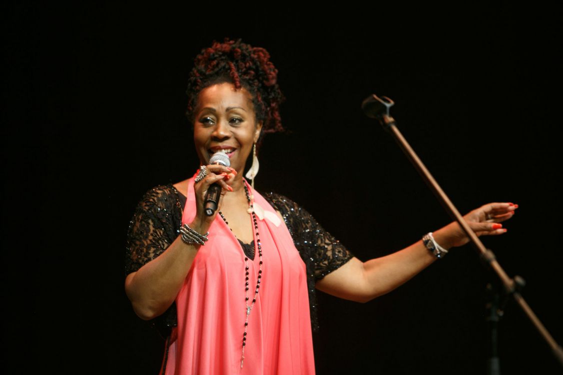 Cantante, Concierto, Músico, Instrumento de Cuerda, Rendimiento. Wallpaper in 1920x1280 Resolution