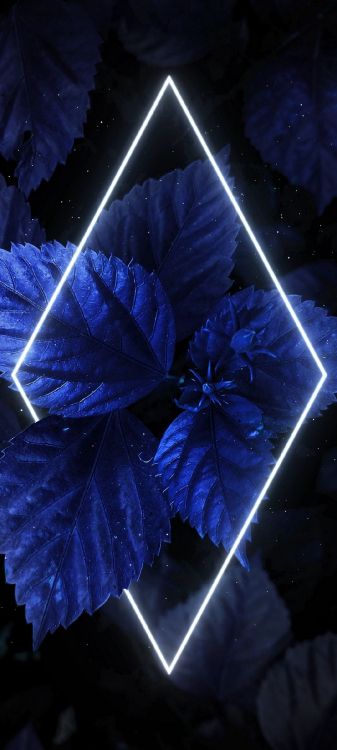 Licht, Blau, Purpur, Farbtöne Und Schattierungen, Electric Blue. Wallpaper in 1080x2400 Resolution