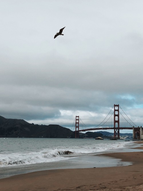 Image golden gate bridge, coast, sea, bridge, beach