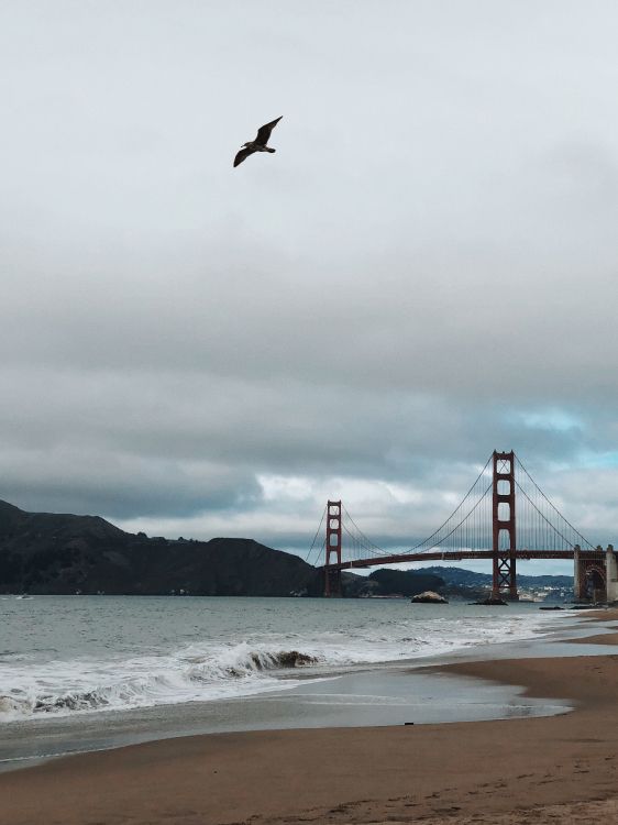Golden Gate Bridge, Coast, Sea, Bridge, Beach. Wallpaper in 2474x3299 Resolution