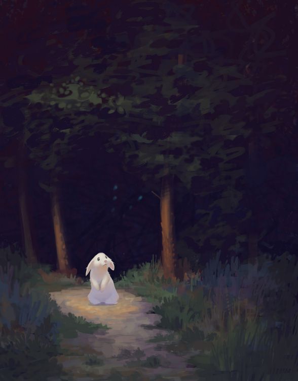 Ambiente, Artes Visuales, Naturaleza, Oso Polar, Oso. Wallpaper in 2258x2880 Resolution