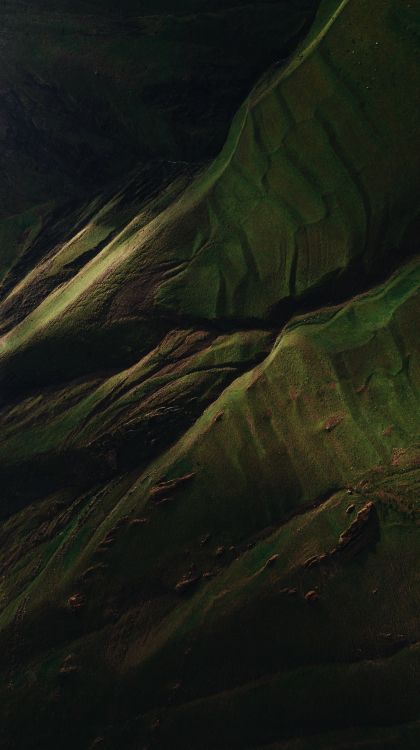 Eau, Brown, Plante Terrestre, Aile, Prairie. Wallpaper in 3061x5464 Resolution