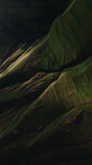 Image water, wood, brown, terrestrial plant, grass