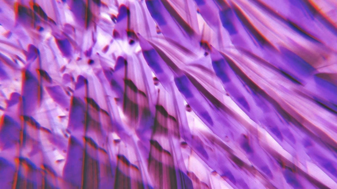 lilac, colorfulness, purple, violet, petal