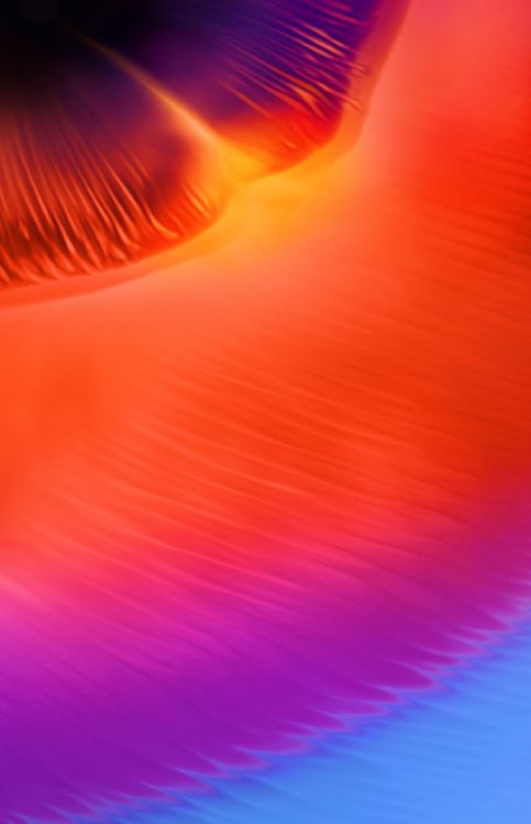 Samsung Galaxy, Samsung, Samsung Galaxy A8, Android, la Pureté de la Couleur. Wallpaper in 1508x2340 Resolution