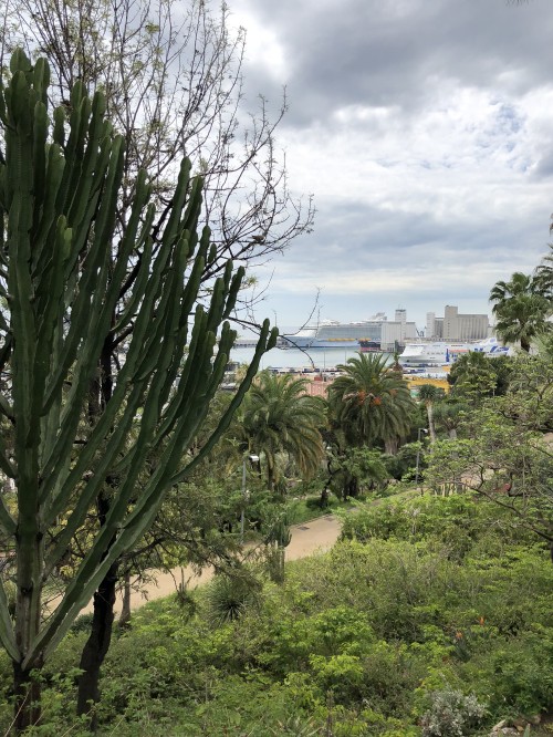 Image vegetation, biome, shrubland, grasses, physics