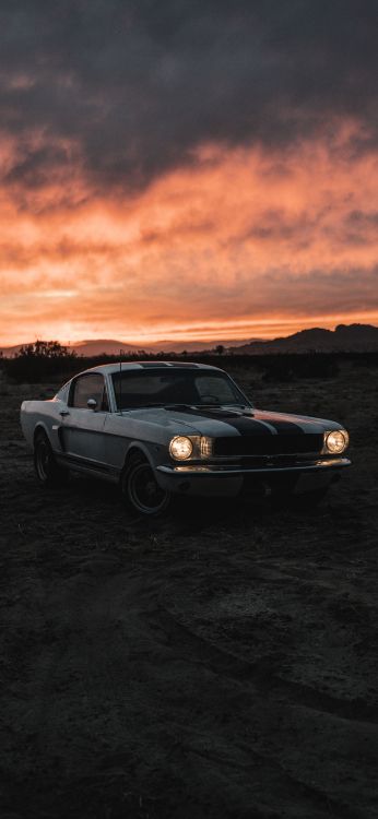 Réflexion, Pneu, Roue, Atmosphère, L'éclairage Automobile. Wallpaper in 1800x3900 Resolution