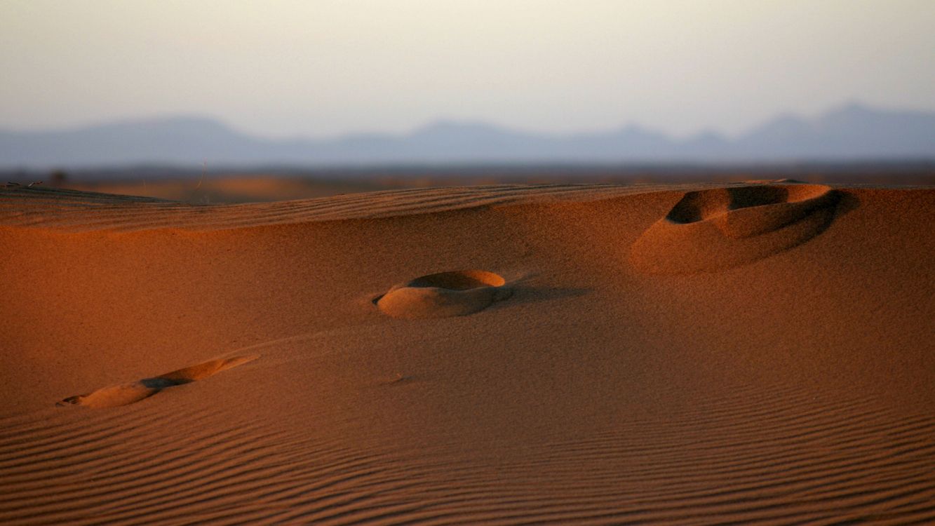 brown sand under blue sky during daytime