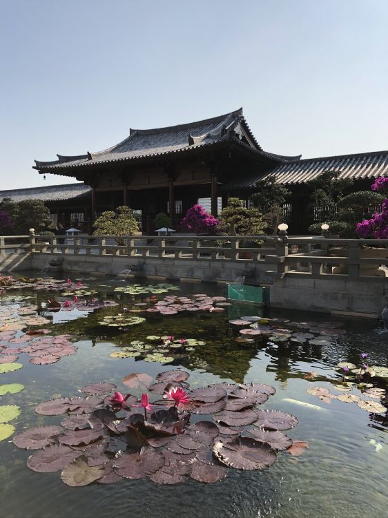 la Arquitectura China, Turismo, Agua, Atracción Turística, Cuerpo de Agua. Wallpaper in 1536x2048 Resolution