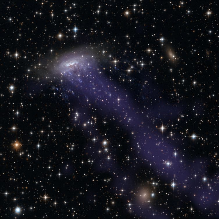 Estrellas Púrpuras y Blancas en el Cielo. Wallpaper in 4910x4887 Resolution